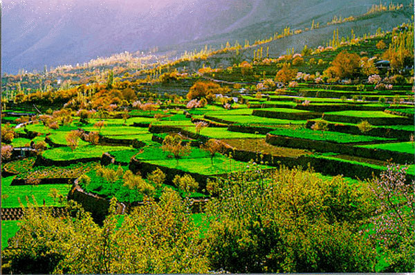 hunza